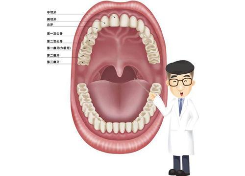 助萌术视频,轻松掌握萌化技巧