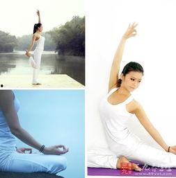 膝关节运动视频,全方位解析运动技巧与注意事项