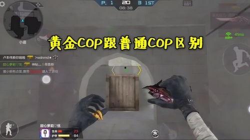 cop视频